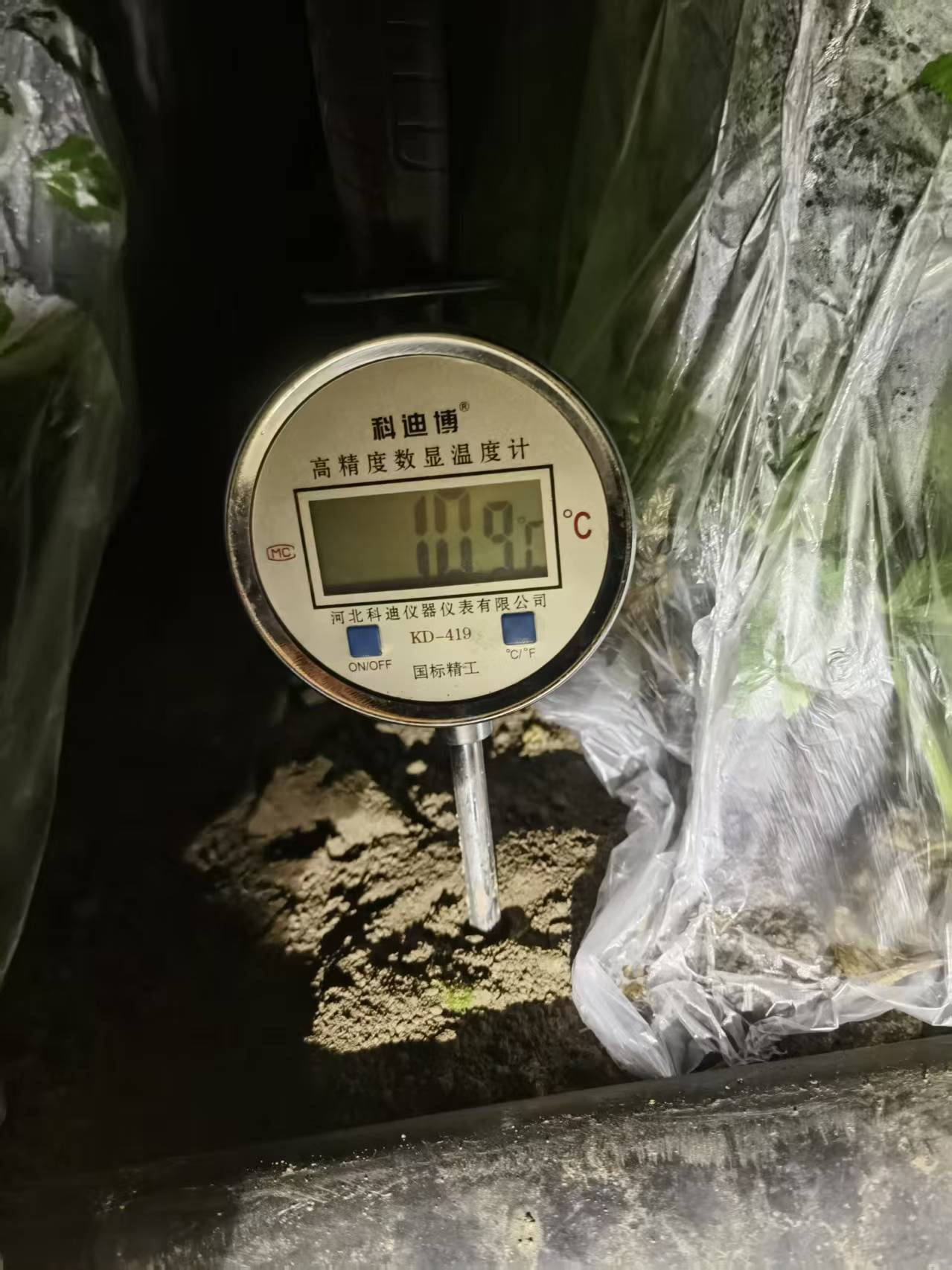 俄罗斯·专享会294VIP(中国区)官方网站